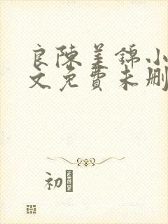 良陈美锦小说全文免费未删减