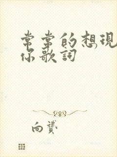常常的想现在的你歌词