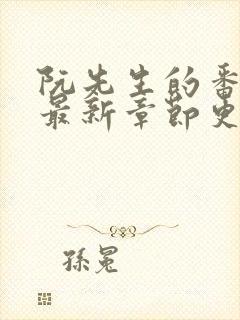 阮先生的番外6最新章节更新