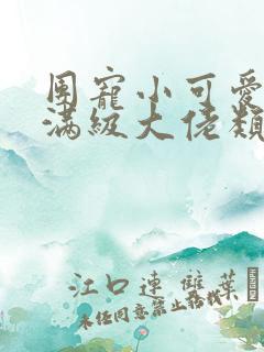 团宠小可爱成了满级大佬类似的小说