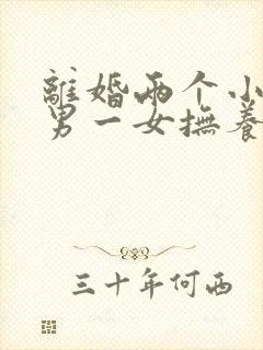 离婚两个小孩一男一女抚养权怎么判定