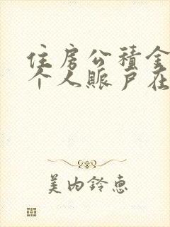 住房公积金查询个人账户在哪里查询