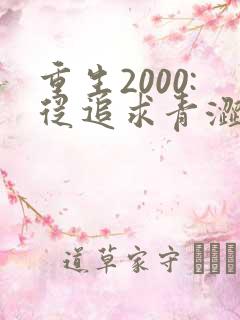 重生2000:从追求青涩校花同桌开始原著作者