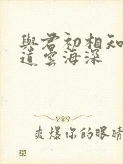 与君初相知,不道云海深