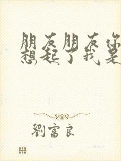 朋友朋友你可曾想起了我是什么歌