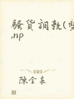 骚货调教(双性,np