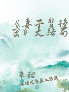 《妻子背后的秘密》大结局