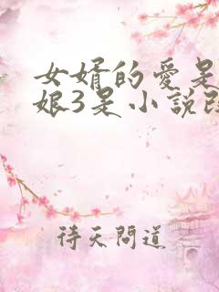 女婿的爱是丈母娘3是小说改编吗