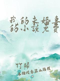 我的未婚妻小琳的小说免费阅读