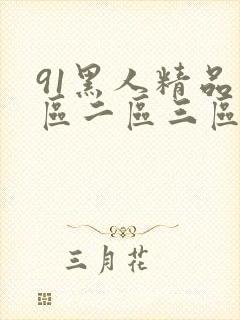 91黑人精品一区二区三区