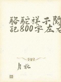 骆驼祥子阅读笔记800字左右
