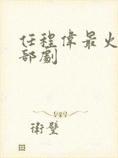 任程伟最火的十部剧