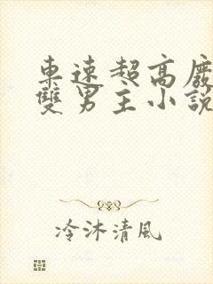 车速超高废文的双男主小说