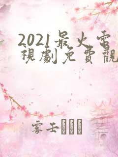 2021最火电视剧免费观看