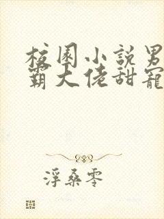 校园小说男主校霸大佬甜宠文