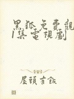 黑狐免费观看第1集电视剧