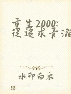 重生2000:从追求青涩校花同桌开始在线听