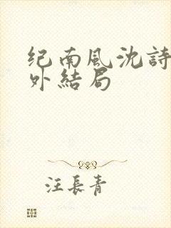 纪南风沈诗澜番外结局