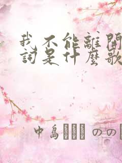 我不能离开你歌词是什么歌