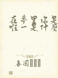 在梦里你是我的唯一是什么歌