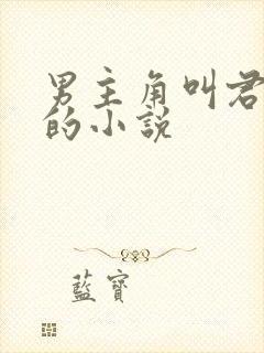 男主角叫君墨寒的小说