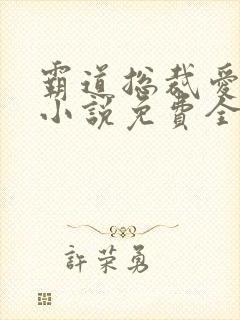 霸道总裁爱上我小说免费全文星辰