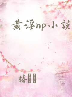 黄淫np小说