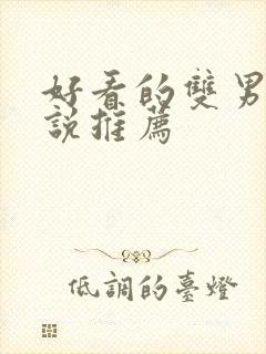 好看的双男主小说推荐