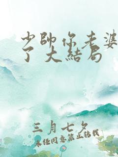 少帅你老婆又跑了 大结局