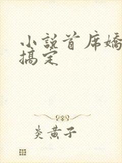 小说首席娇妻难搞定