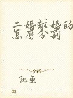 二婚离婚的财产怎么分割