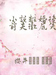 小说离婚后豪门前夫彻底失了控时漾无弹窗