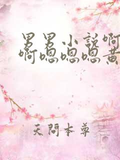 男男小说啊啊啊啊嗯嗯嗯黄小说