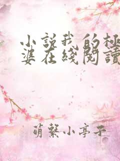 小说我的极品老婆在线阅读全文