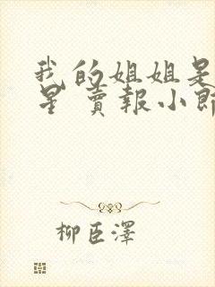 我的姐姐是大明星 卖报小郎君