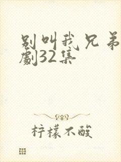 别叫我兄弟电视剧32集