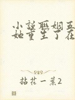 小说联姻五年后她重生了在线观看