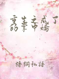 重生之成了权臣的掌中娇