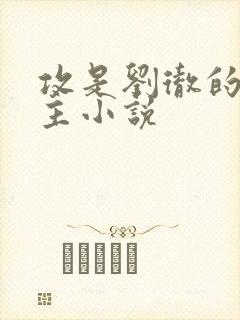 攻是刘彻的双男主小说