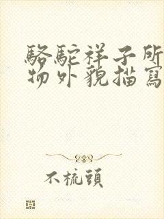 骆驼祥子所有人物外貌描写