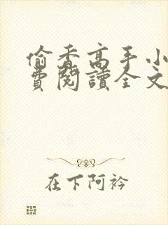 偷香高手小说免费阅读全文