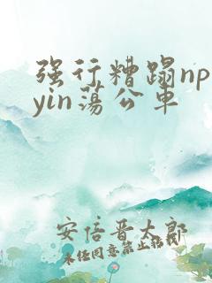 强行糟蹋np肉yin荡公车