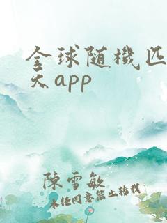 全球随机匹配聊天app
