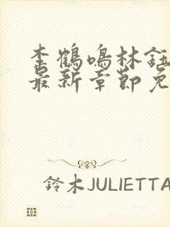 李鹤鸣林钰小说最新章节免费阅读