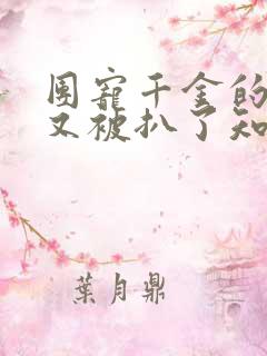 团宠千金的马甲又被扒了知夏