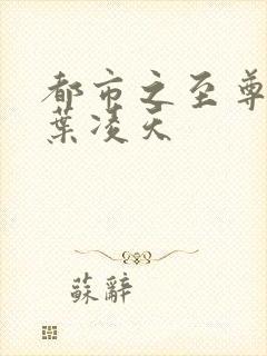 都市之至尊战神叶凌天