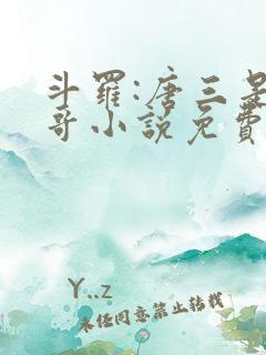 斗罗:唐三是我哥小说免费阅读