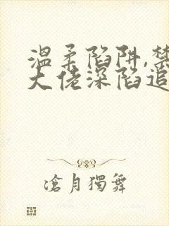 温柔陷阱,禁欲大佬深陷追妻小说