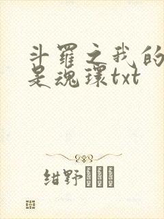 斗罗之我的武魂是魂环txt