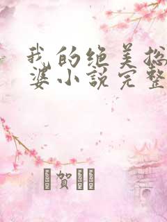 我的绝美总裁老婆小说完整版